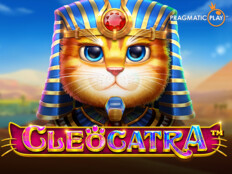 Gri scottish fold. Casino bonus free spins.58